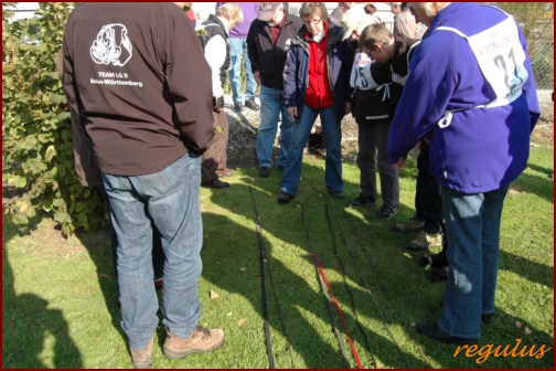 DM FH 2011